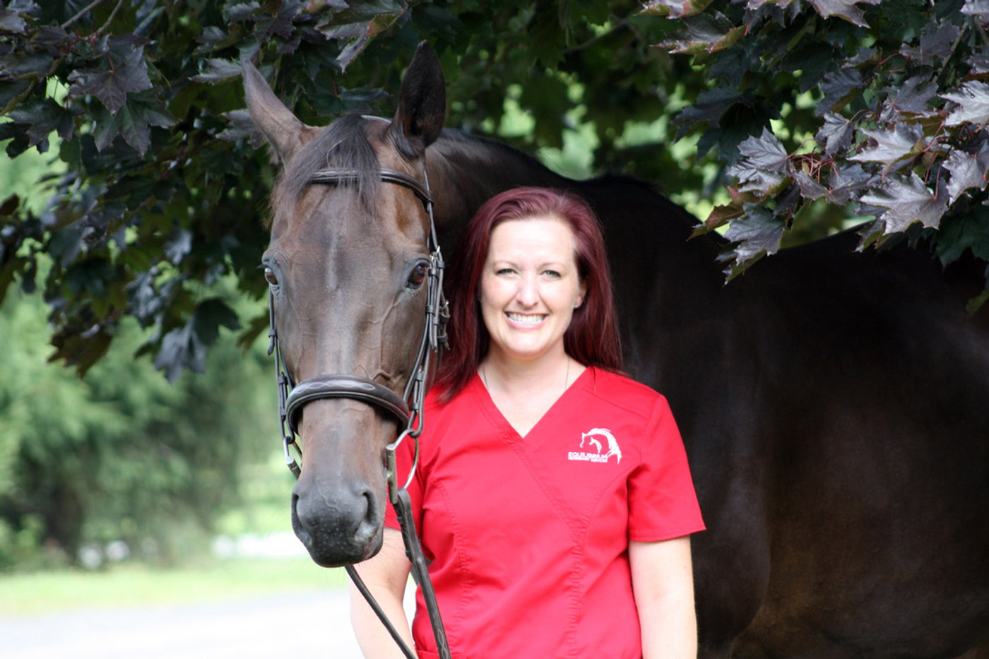 Equine care at EVS
